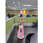 Uploaded File
