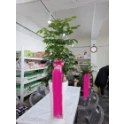 Uploaded File
