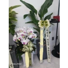 Uploaded File