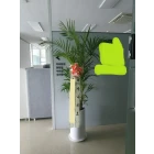 Uploaded File