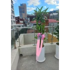 Uploaded File