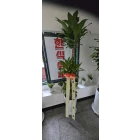 Uploaded File